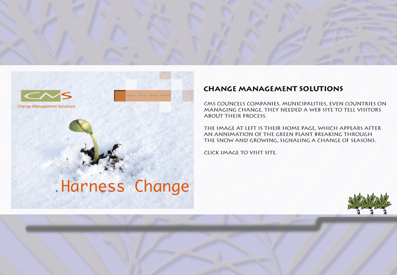 Web design / Change Management Solutions
